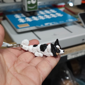 Papillon tricolor - brelok do kluczy